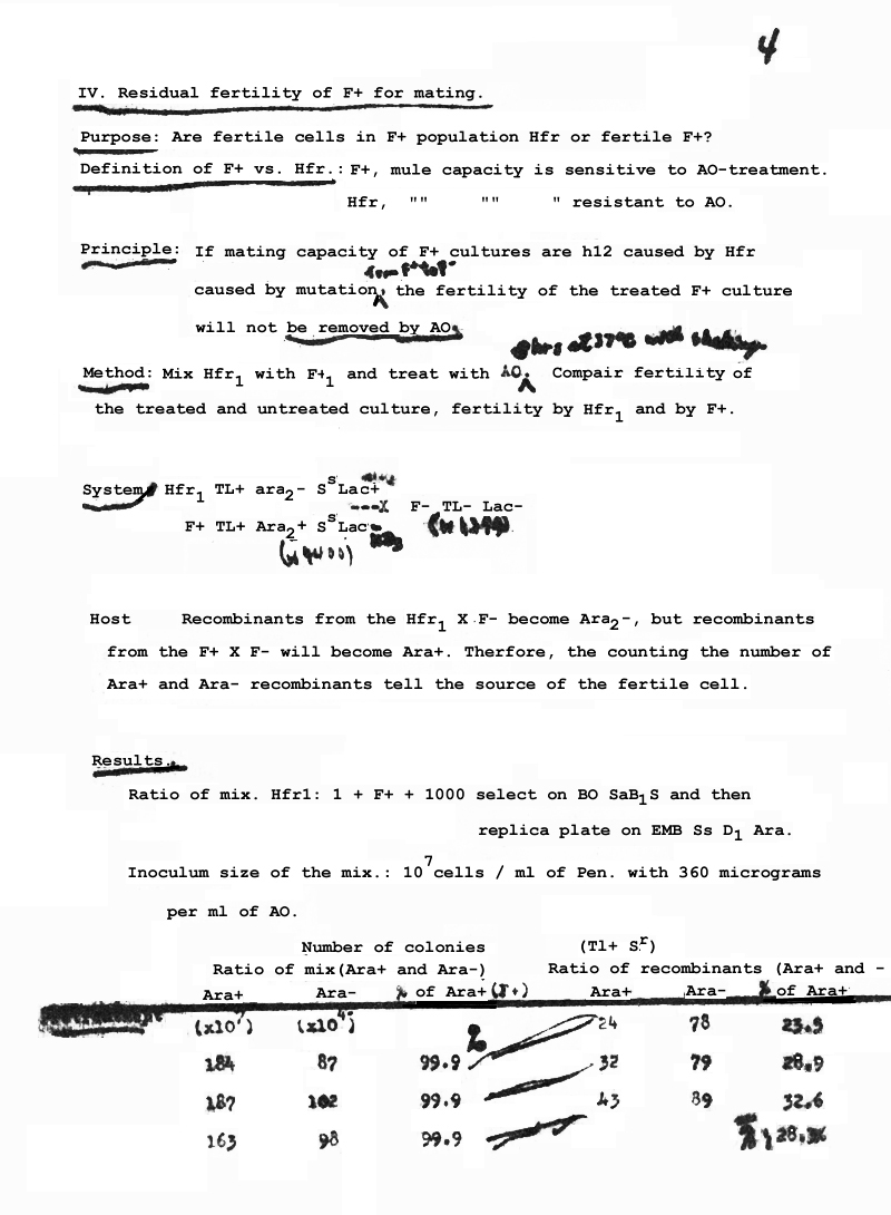 scan0156_page 4_recreated_final